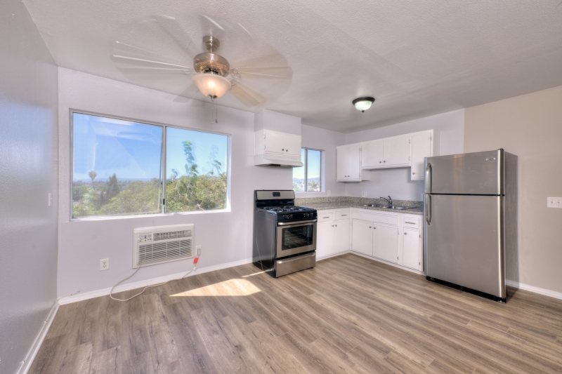 3933_Unit_203B_Kitchen